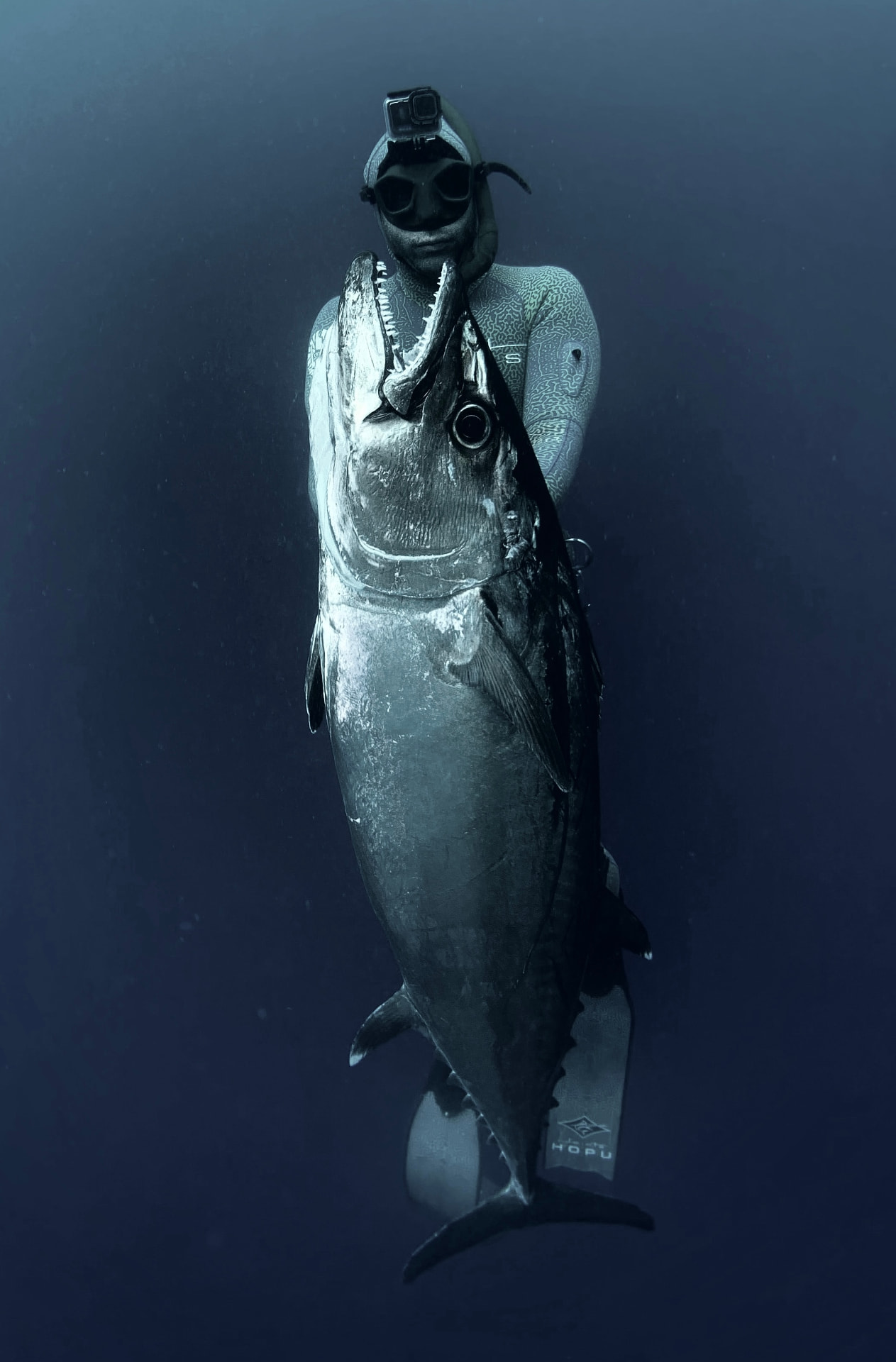 Freediver in deep water with a large dogtooth tuna