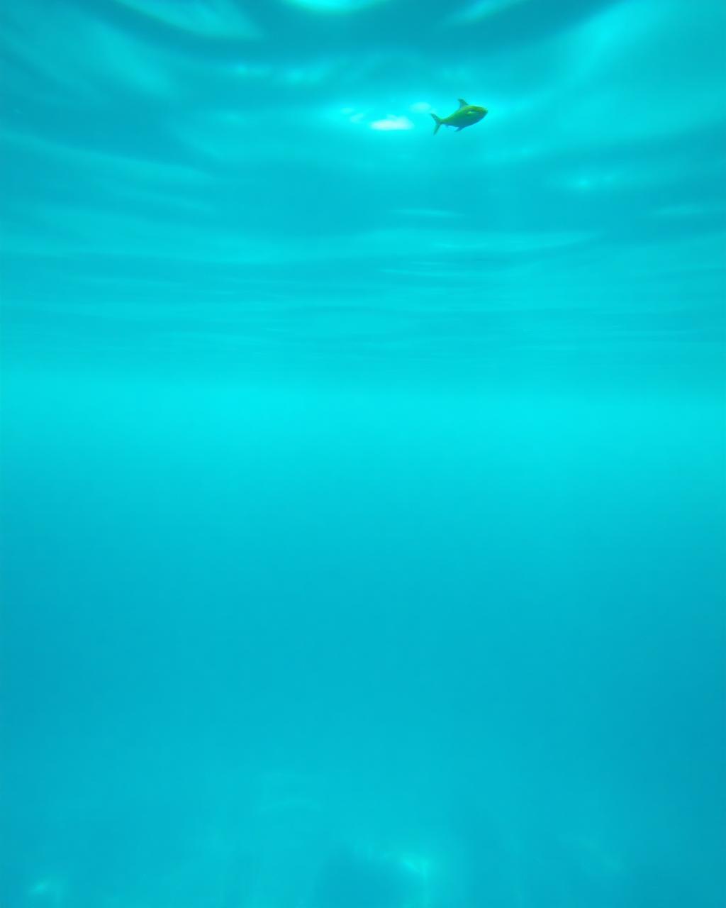 Light rays filtering through turquoise water